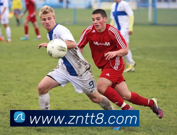 米兰官方网页版 - 米兰(中国)平台生态图